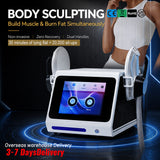 6500W EMS | Dual Handle Fat Reduction & Muscle Building
