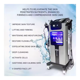 Professional 10-in-1 Multifunctional Facial Deep Cleansing Care Machine to Remove Oil and Blackheads